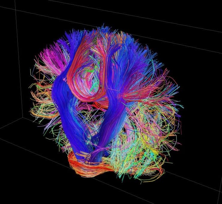 Mapping the connectome